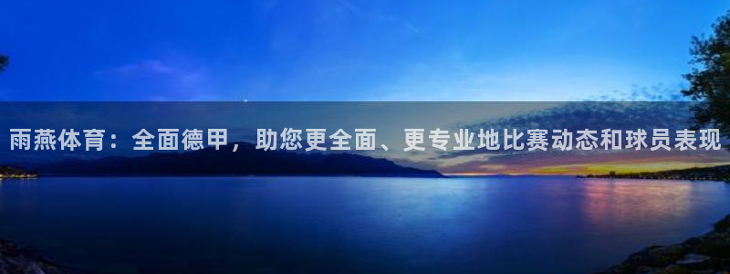 蓝鲸直播体育：雨燕体育：全面德甲，助您更全面、更专业地比赛动态和球员表现
