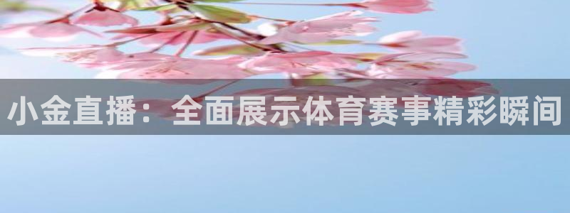 下载蓝鲸直播：小金直播：全面展示体育赛事精彩瞬间